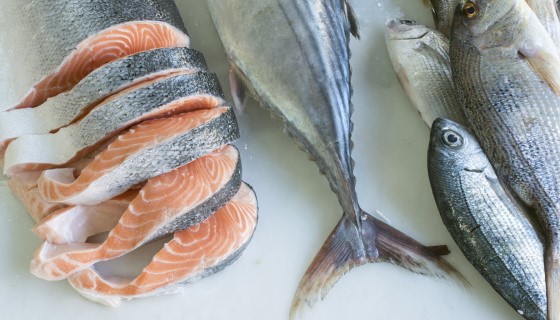 【減量】蘇格蘭鮭魚生產協會誓願實現碳中和