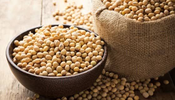 美國ITC裁定印度進口有機豆粕在美國以低價銷售並導致美國產業受到實質損害