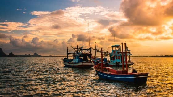 開發中國家對第三版主席版漁業補貼規範彙編草案文件表示高度關切