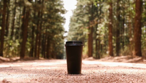 咖啡廢棄物促進森林復原