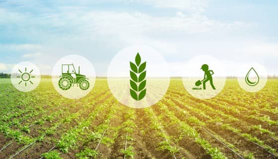 日本智慧農業最前線-利用科技改變農業經濟
