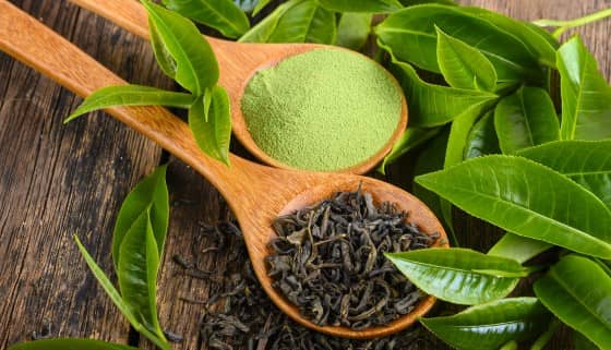 茶改場製茶技術開發蔬菜粉 營養抗氧化助減汗臭