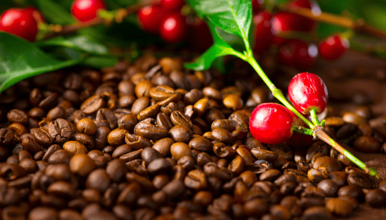 咖啡漿果萃取物有助提高機敏性及活動力並降低疲勞和負面情緒
