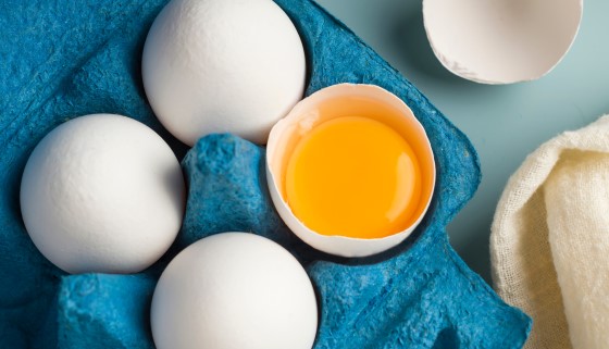 【減量】讓雞產下「碳中和雞蛋」－從飼料就愛地球的供應鏈