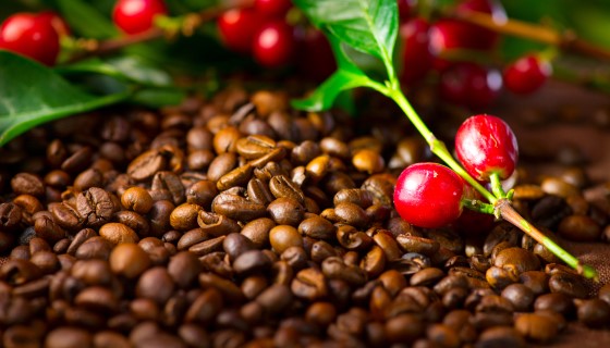 氣候變遷將影響咖啡味道、香氣及品質