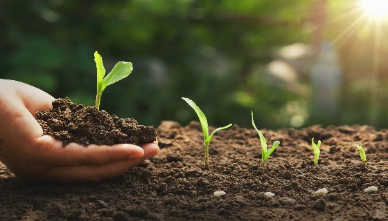 【增匯】達能北美公司提倡的土壤健康計畫獲得了有意義的成果