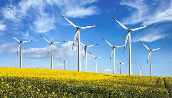 【減量】全球風力發電產業需要成長四倍才能達到2050年淨零排放目標