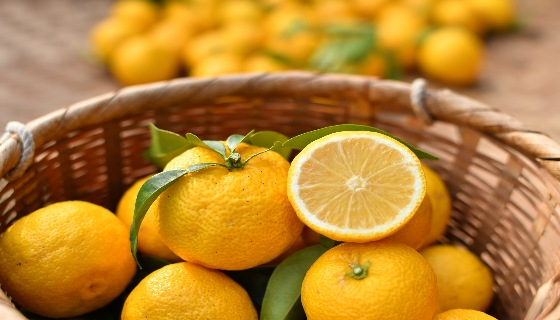 美國佛羅里達大學研究團隊在柑橘類水果中發現新的甜味增強化合物