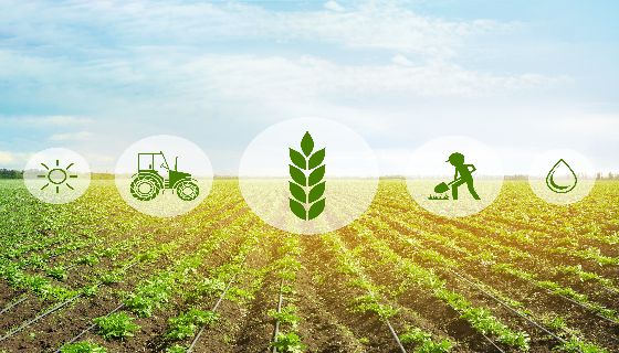 產業追蹤／科技助攻 農業發展再進化