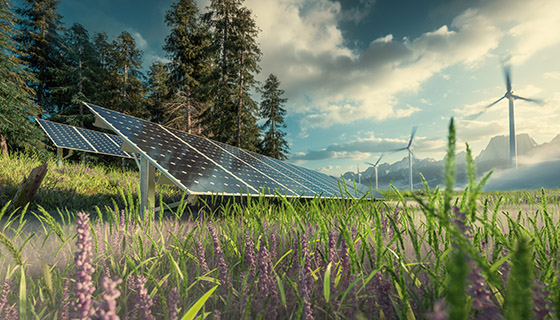 【減量】太陽能板如何改善農業、降低食品成本與減少排放