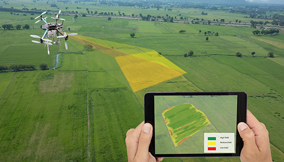 運用無人機數據，診斷水稻生長及計算施肥量