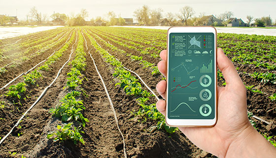 運用天氣數據，開發農作灌溉支援系統防止旱災