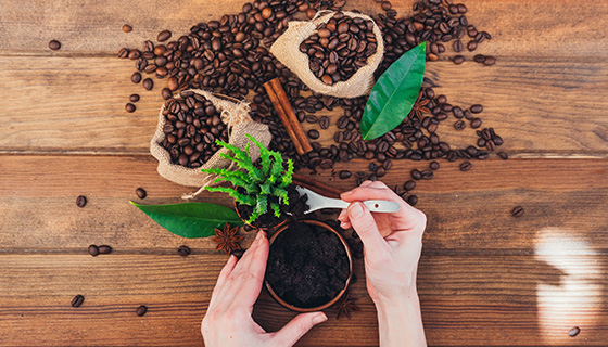 清華大學投入AI科技 活化馬武督咖啡產業推動社區永續