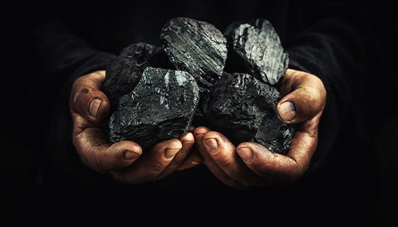 將煤炭轉化為蛋白質的新技術