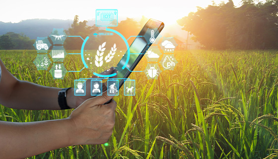印度農民將人工智慧用於農業，大幅改善收益及農產品質