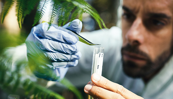 徹底改變植物健康診斷：微流體裝置用於快速miRNA檢測