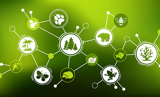 臺灣生物多樣性與保育政策的現狀與趨勢
