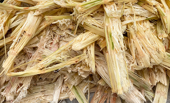 鳳梨渣、甘蔗渣代替塑膠！他靠農廢翻身賺上億 一年480萬噸垃圾 竟成台灣攻佔國際的秘密武器!！│【台灣新思路】