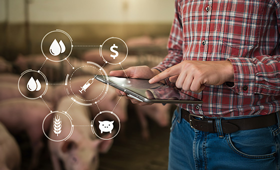 日本農民採用智慧畜牧技術的過程