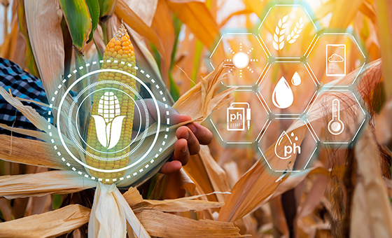 人工智慧網路預測農作物產量