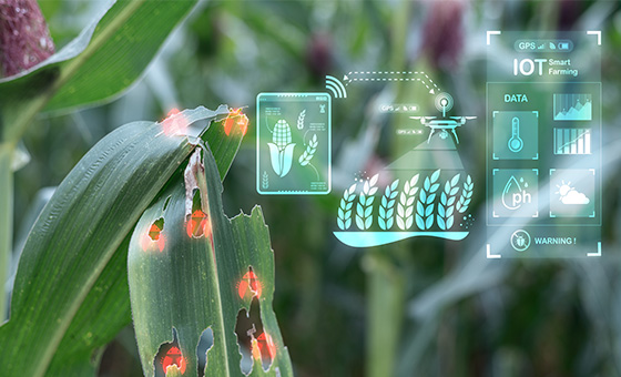 跨領域發展：科學合作應對農業挑戰