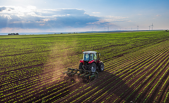 減少耕作使作物產量和土壤有機碳含量大幅上升