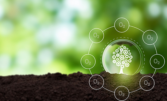 增加農業植物多樣性可以促進土壤碳固存