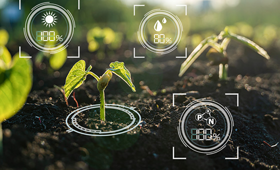 植物電子表皮可實現精準農業的連續、非侵入性監控