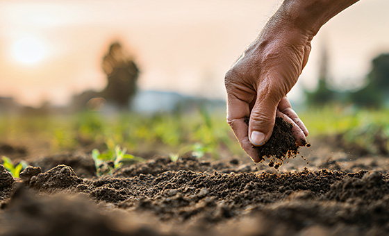 恢復土壤原貌維護健康　達到永續農業【科學再發現】