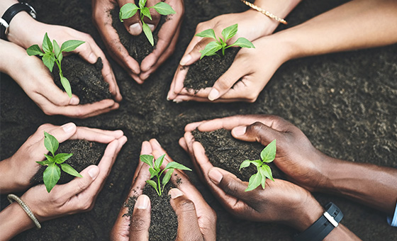 氣候變遷與農業的未來:從科技創新看永續農業的可能 | 葉國楨特聘研究員