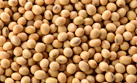 農試所研發「大豆鮮味粉」 減鈉減糖高品質低成本