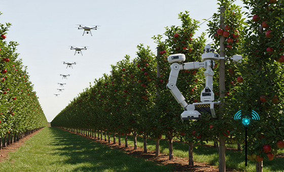 利用人工智慧系統精準識別蘋果園中的雜草，提升除草效率