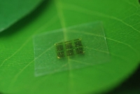 新形式的木製晶片：從木材製成的可生物分解的電腦晶片